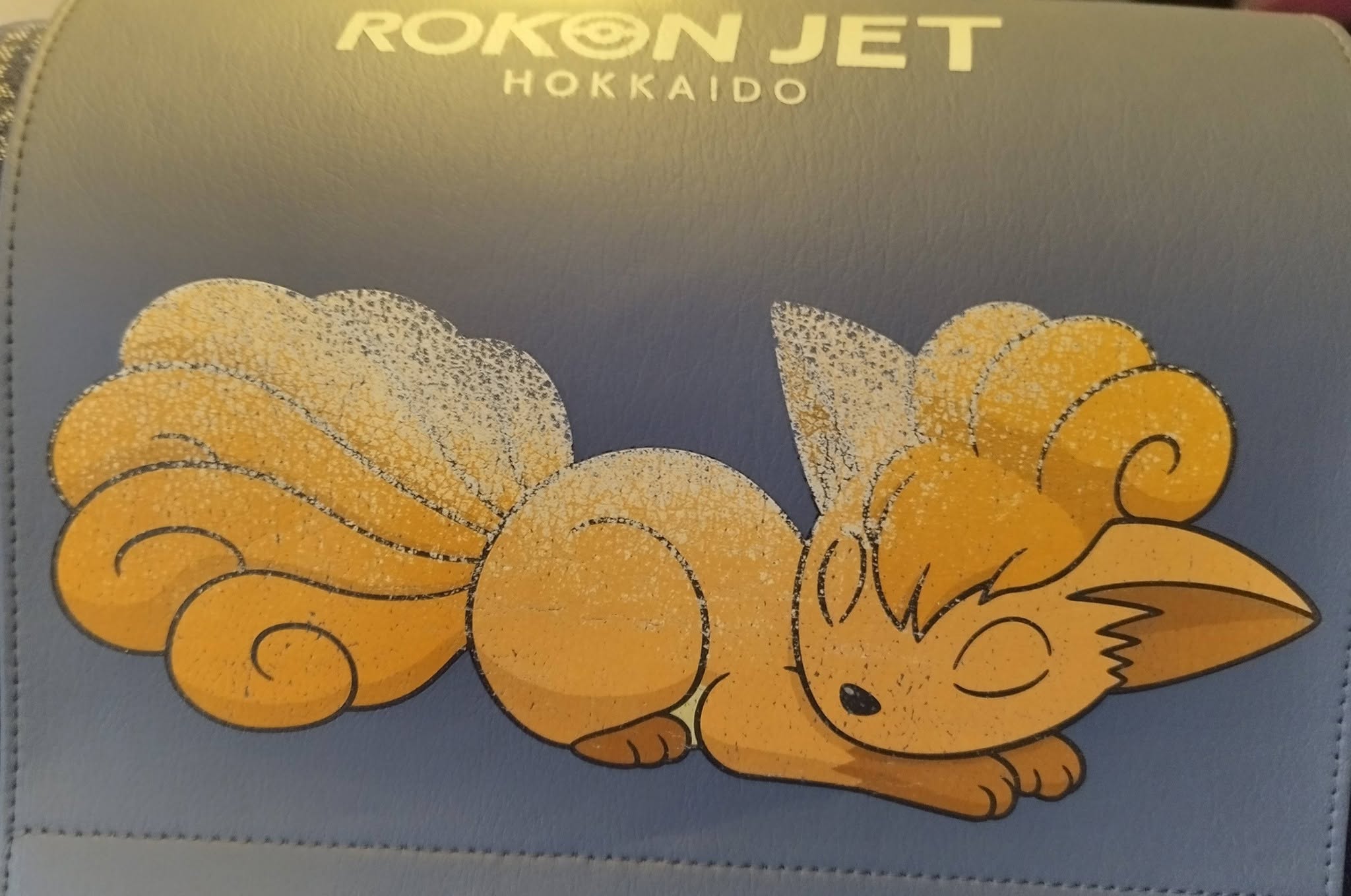 、「ROKONJET ROKON JET」というテキストの画像のようです